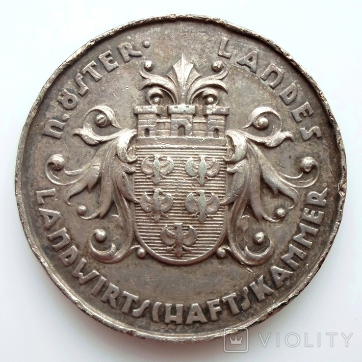 Австрия 1918-1938 Медаль за выслугу Серебро, фото №2