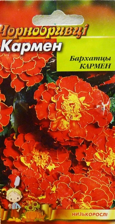Насіння квіти Чорнобривці Кармен 0,3 г 200387, фото №2
