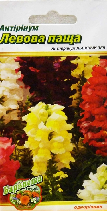 Насіння квіти Антірінум Левова Паща 0,2 г 200392, фото №2