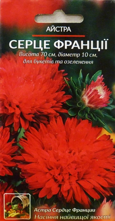Насіння квіти Айстра Серце Франції 0,2 г 200394, numer zdjęcia 2
