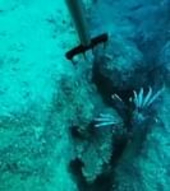 Гавайка титановая keltvic 2.1 м с курком Pole spear Подводная охота, фото №4