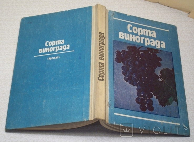 Ред. Е. Н. Докучаевой - Сорта винограда. Овчинников - Приготовим качествен и здоров. вина, фото №3