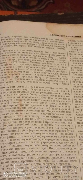 Популярная медицинская энциклопедия1965г, фото №9