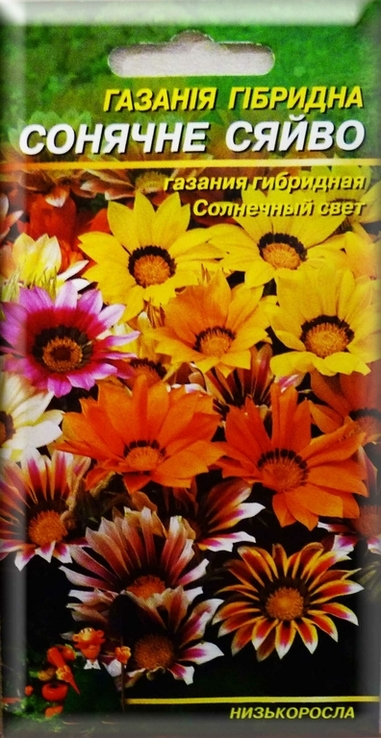 Насіння квіти Газанія гібридна Сонячне Сяйво 0,1 г 200472, фото №2