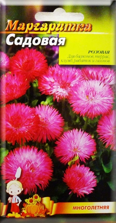 Насіння квіти Маргаритка садова Рожева 0,1 г 200516, фото №2