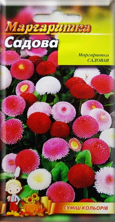 Насіння квіти Маргаритка садова суміш 0,1 г 200517, фото №2