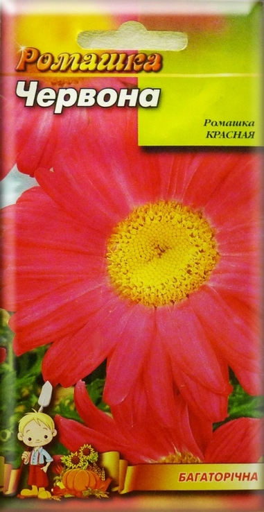 Насіння квіти Ромашка Червона 0,2 г 200520, фото №2