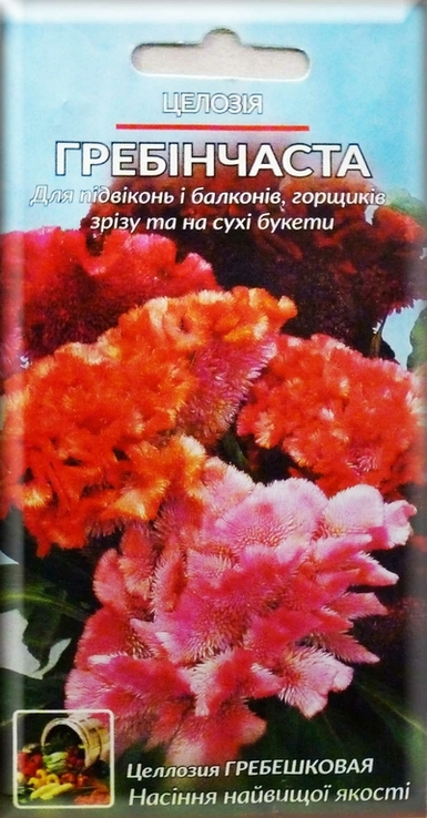 Насіння квіти Целозія Гребінчаста 0,2 г 200522, фото №2