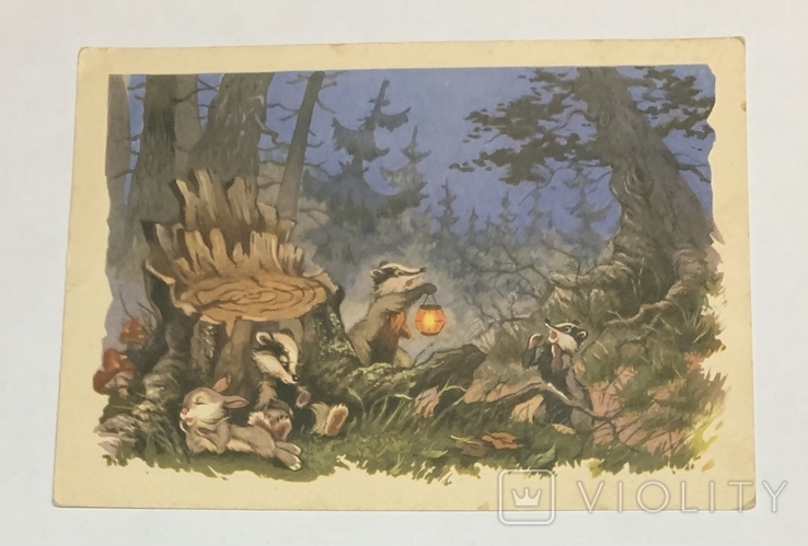 Почтовая карточка Знаменский В лесной чаще 1962 г