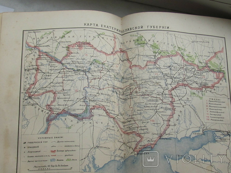 Брокгауз том 17 с картой Екатеринославской губ Днепр Мариуполь и др