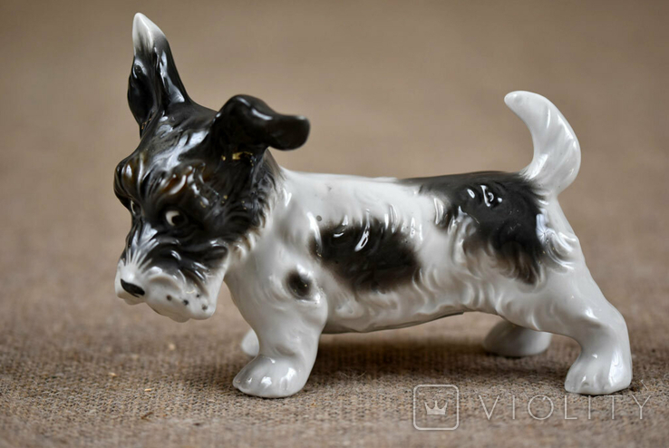 SchauBachKunst Фарфоровая статуэтка Собака Германия 1930 гг, фото №2