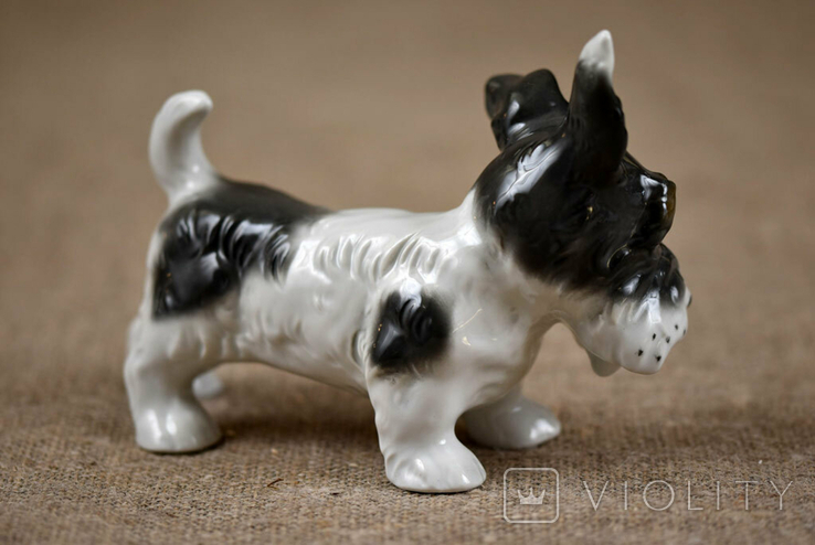 SchauBachKunst Фарфоровая статуэтка Собака Германия 1930 гг, фото №4