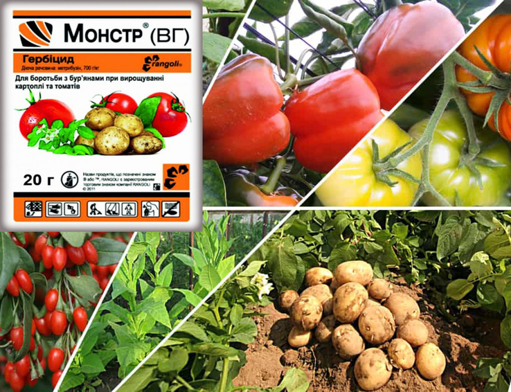 Гербіцид Монстр для картоплі і томатів від бурянів (аналог Зенкор) 20 г 200629, numer zdjęcia 3