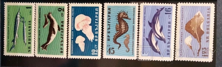 1961, Болгария, морские обитатели, рыбы