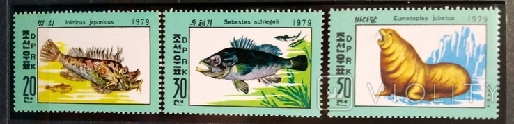 1979, КНДР, рыбы