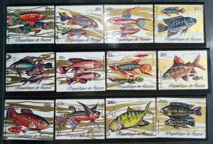 1971, Гвинея, рыбы