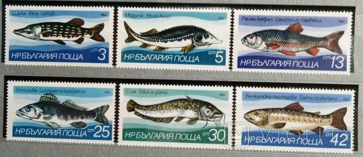 1983, Болгария, рыбы