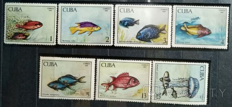 1969, Куба, рыбы