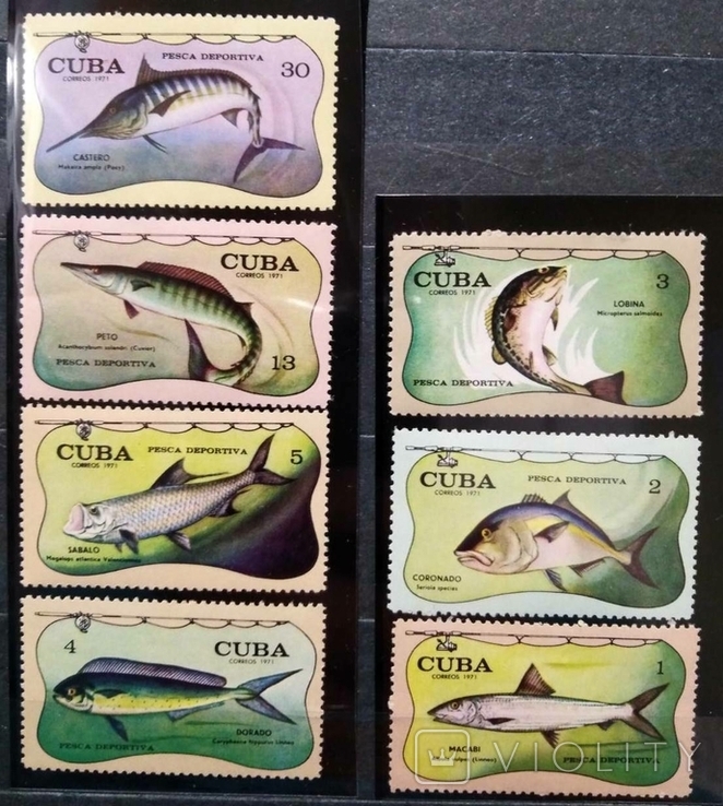 1971, Куба, рыбы
