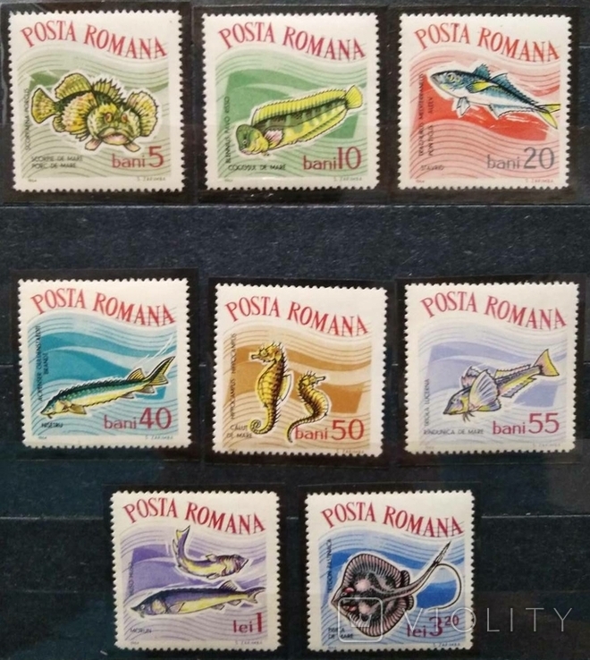 1964, Румыния, рыбы, морские обитатели