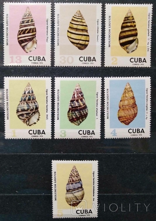 1973, Куба, ракушки, морские обитатели