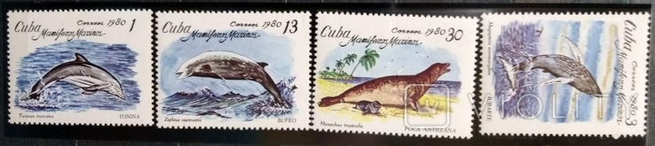 1980, Куба, киты, дельфины