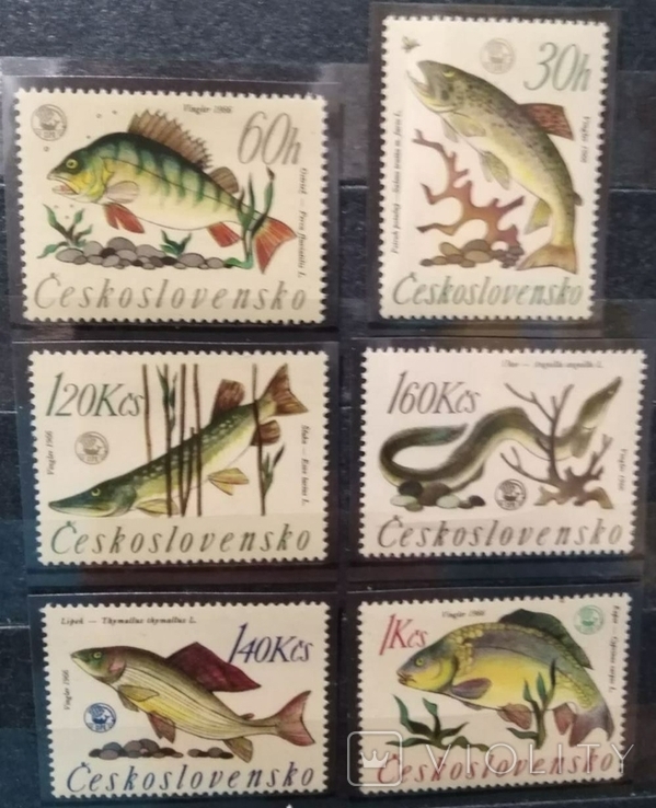 1966, Чехословакия, рыбы