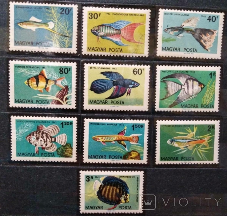 1962, Венгрия, рыбы
