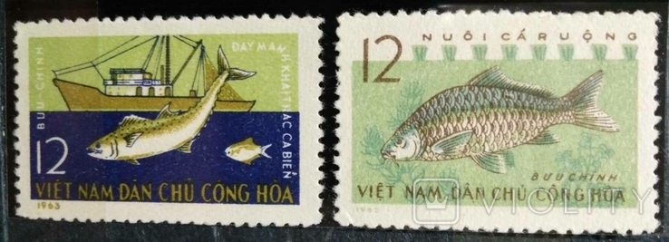 1963, Ветнам, рыбы