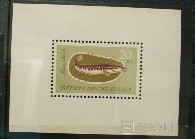 1963, Ветнам, рыбы, зуб. и беззубц. серии с блоком, фото №2