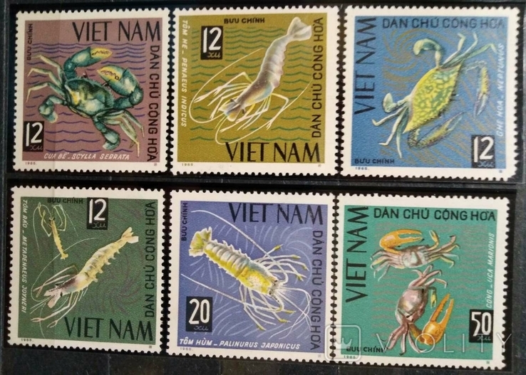 1965, Вьетнам, крабы