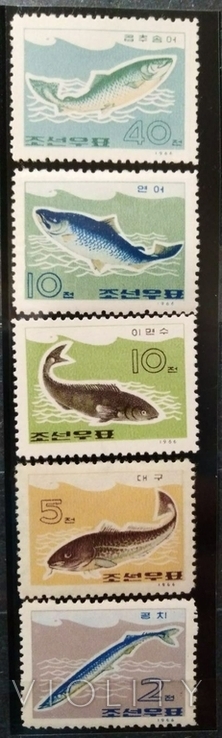 1966, КНДР, рыбы