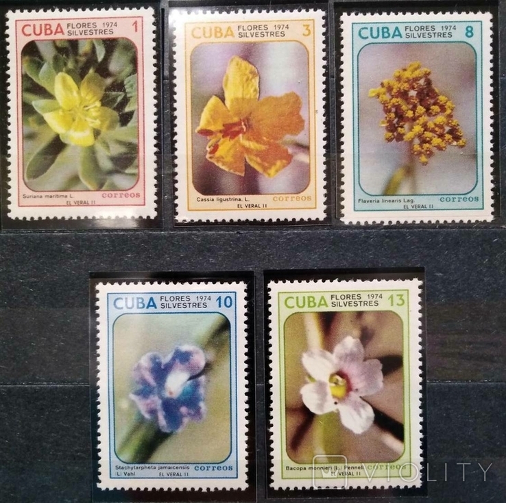 1974, Куба, цветы