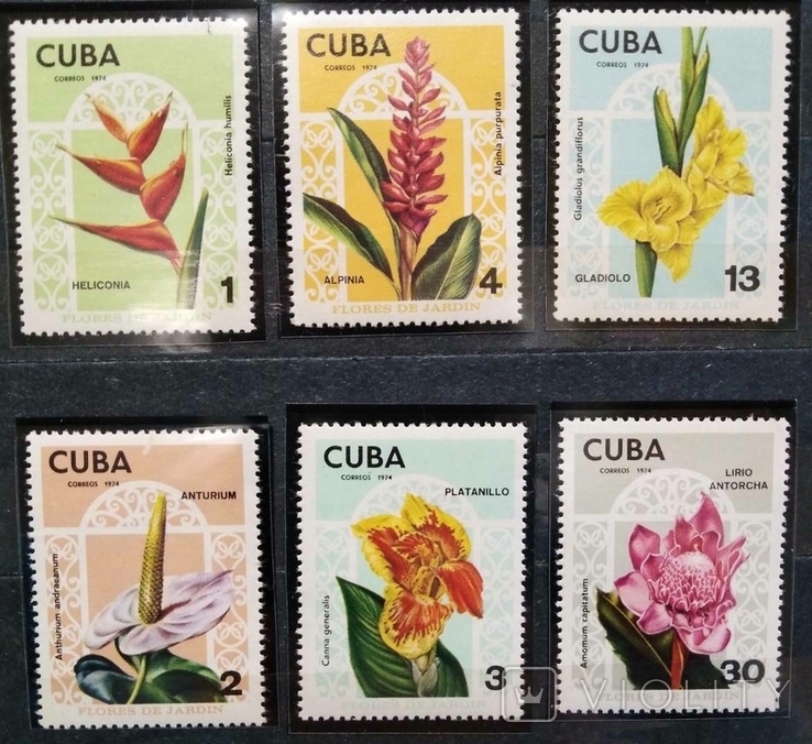 1974, Куба, цветы