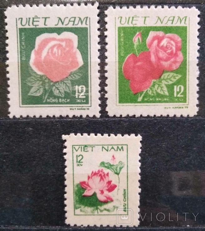 1980, Вьетнам, цветы