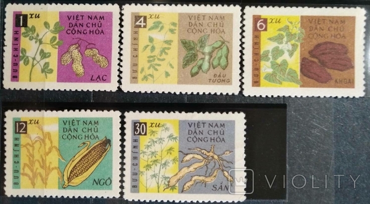 1962, Ветнам, растения, бобы
