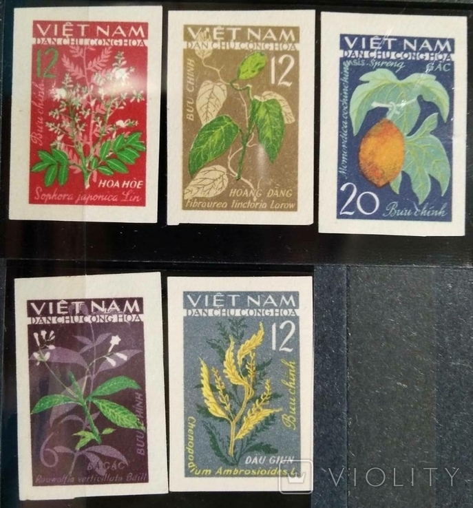 1963, Вьетнам, растения, зубц. и беззубц. серии, фото №2