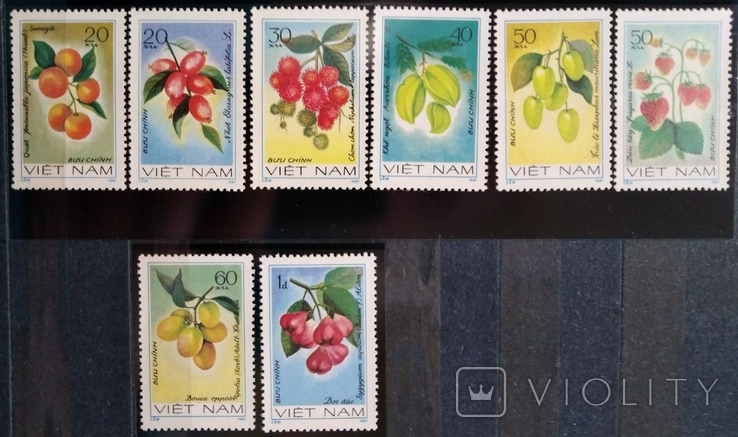1981, Вьетнам, фрукты