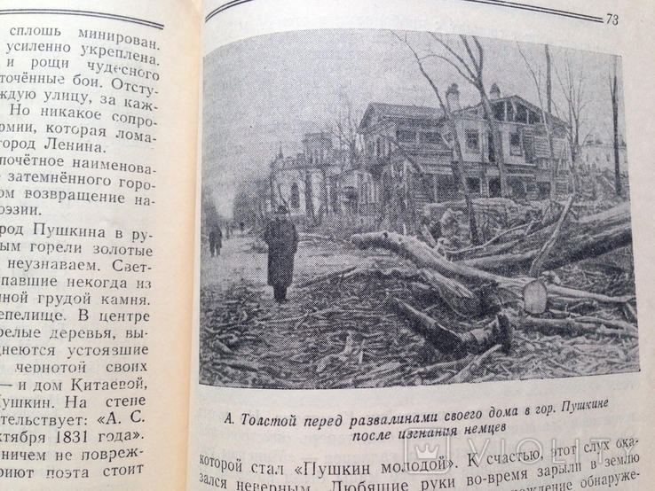 Пригороды Ленинграда.Анциферов.Гослитмузей,1946, фото №7