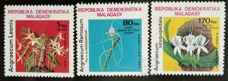 1981, Мадагаскар, цветы