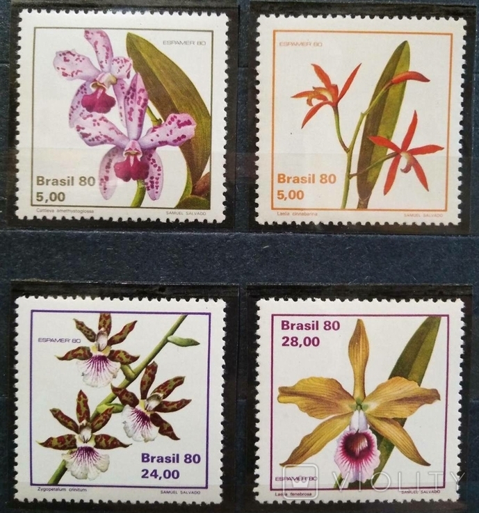 1980, Бразилия, цветы