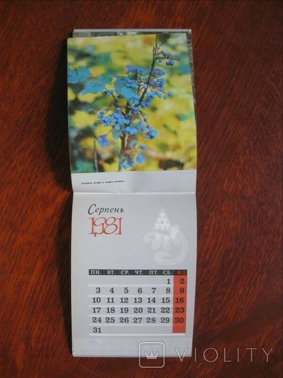 1981 Сувенірний календар-щомісячник, фото №12