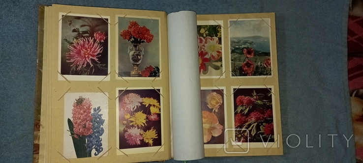 Альбом с открытками Цветы, 1940-50-х годов ХХ в., фото №6