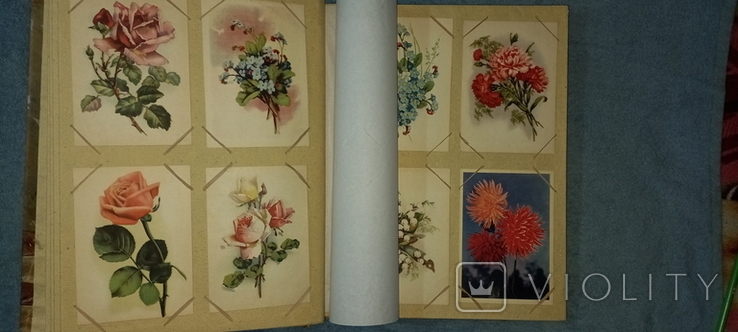 Альбом с открытками Цветы, 1940-50-х годов ХХ в., фото №7
