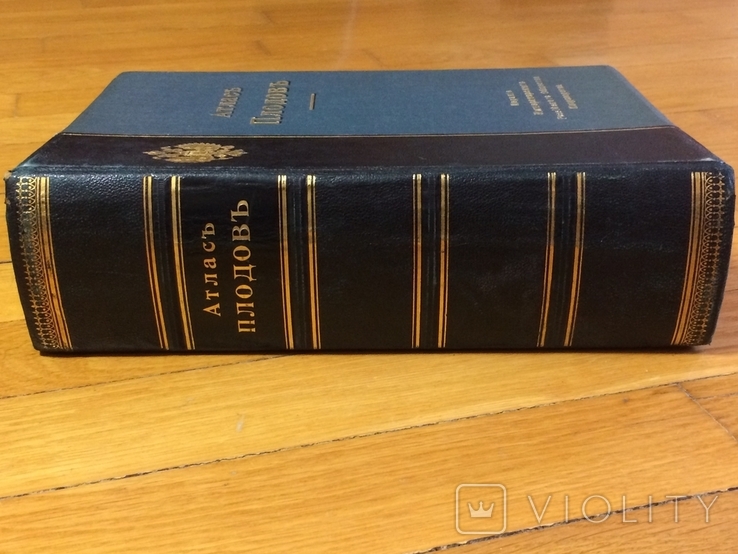 Атлас плодов А.С. Гребницкий 1906 г все 4 выпуска в одной книге, фото №7