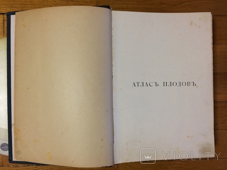 Атлас плодов А.С. Гребницкий 1906 г все 4 выпуска в одной книге, фото №10