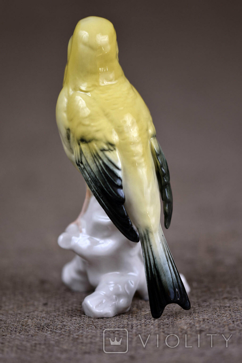 Karl Ens Фарфоровая статуэтка Птичка Германия 1930 гг, фото №5