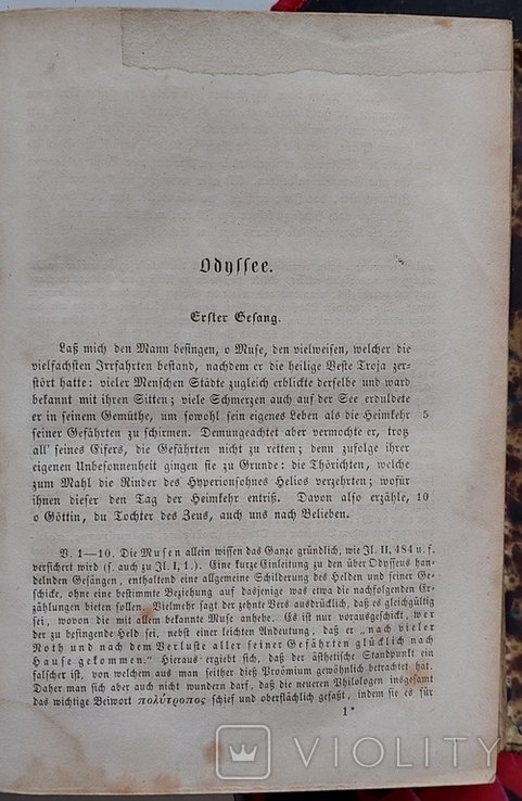 941.24 Одиссей Гомера. die Odissee des Gomer 1864 Johannes Minckwik, фото №7