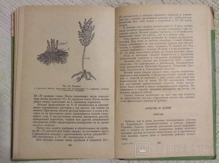 Советы огородникам 1971 год, фото №5