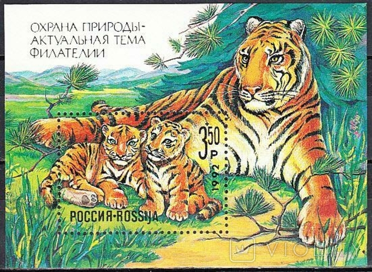 Rosja 1992 Fauna, tygrysy, filatelistyka, Block MNH